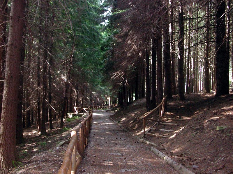 Fontanone Trail at Orecchiella