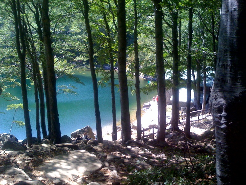 Santo Lake and beech tree woodlands