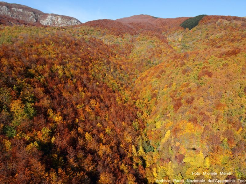 In autumn, some areas of the National Park become of breathtaking beauty for their colors