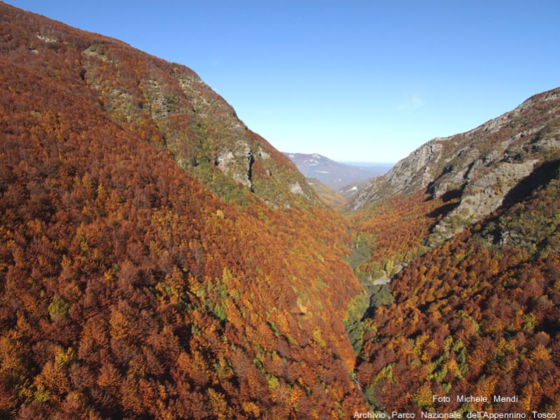 Spectacular aerial view of Val d'Ozola painted with autumn colors
