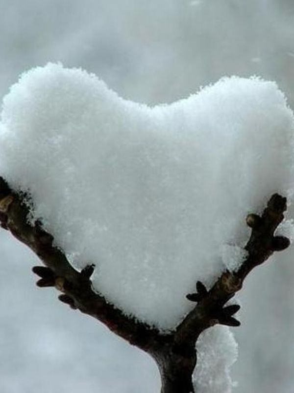 Heart of Snow
