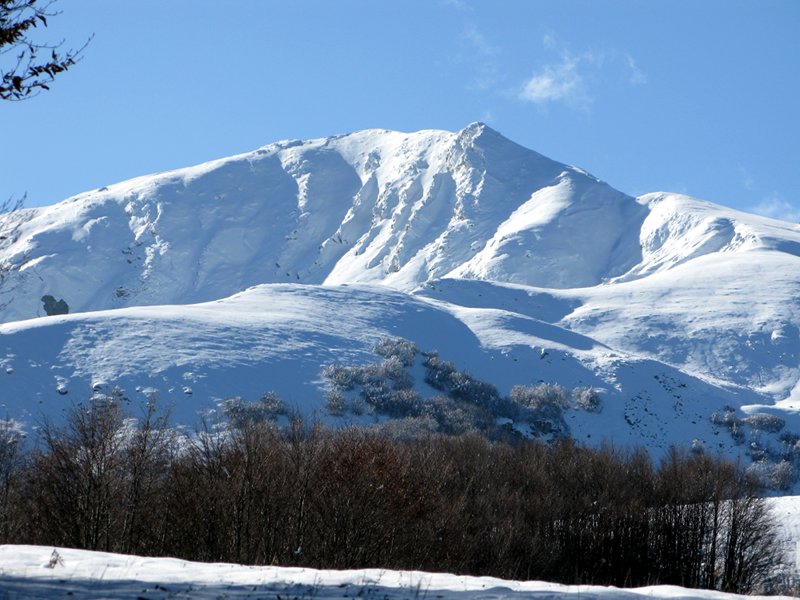 View Mt. Casarola