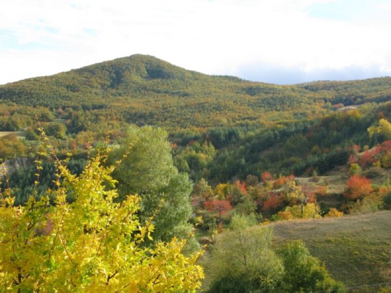 Val d'Asta in autunno con monte Contessa