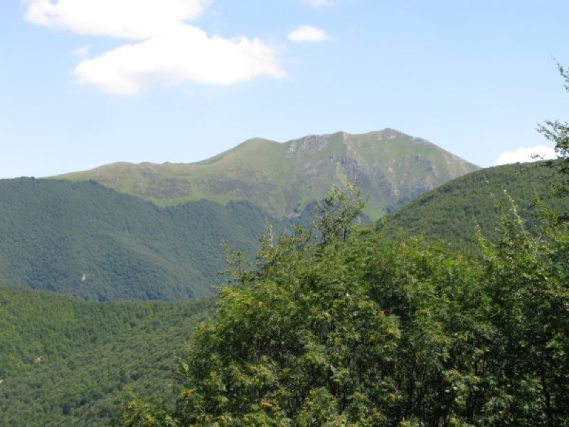 Cavalbianco from Val di Belfiore