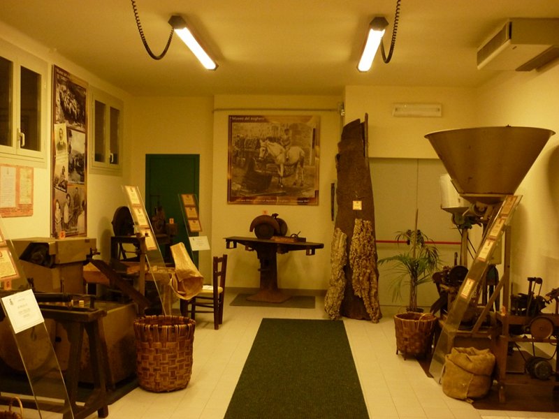 Particolare Sala Espositiva Museo del Sughero di Cervarezza